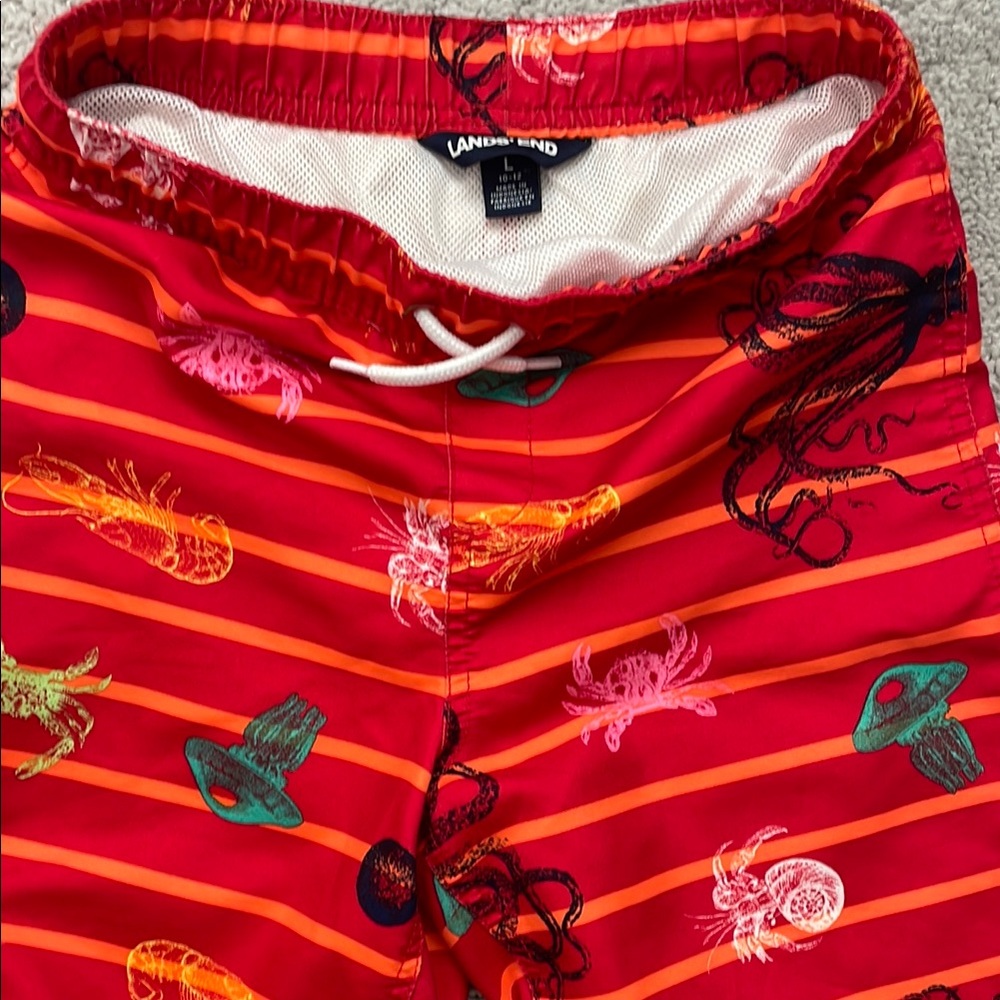 Hurley Land’s End etc LOT OF 4 Kids' Print Shorts Swim Trunks size 10 12 M - Picture 3 of 5